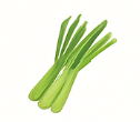 Lemongrass